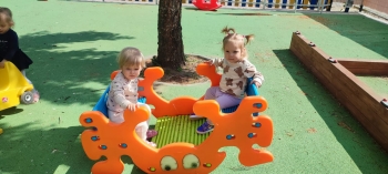 IMG-20250513-WA0031(1)