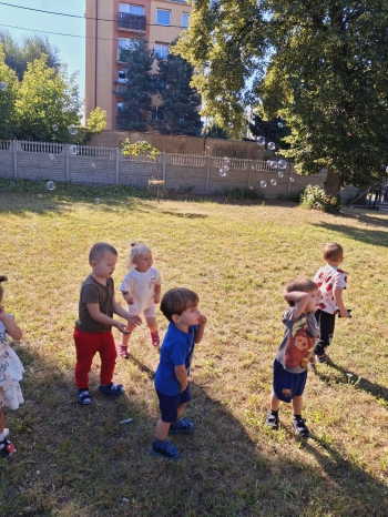 IMG-20250820-WA0059