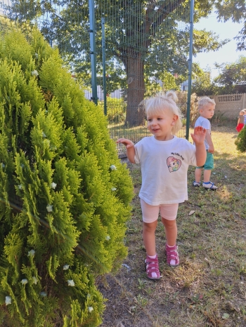 IMG-20250820-WA0045