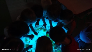 29fde934-d920-4194-a037-951d1284267f