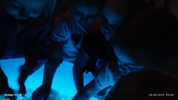 eaaba2ad-dff7-4a11-8970-d9baf86f5974