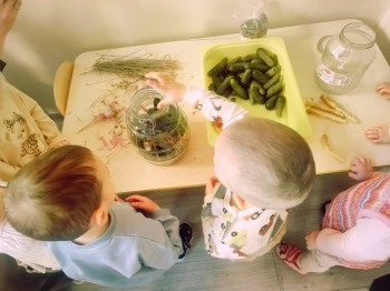 02-niedzwiadki-wiewiorki (2)