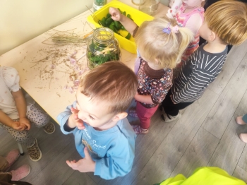 02-niedzwiadki-wiewiorki (5)