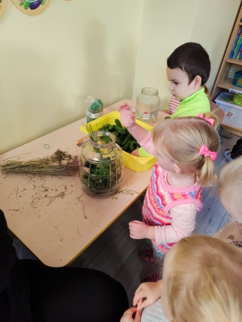 02-niedzwiadki-wiewiorki (57)