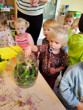 02-niedzwiadki-wiewiorki (69)