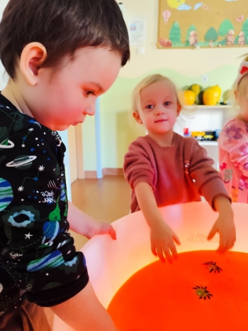 02-NIEDZWIADKI-WIEWIORKI (60)