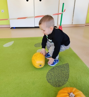 02-NIEDZWIADKI-WIEWIORKI (92)