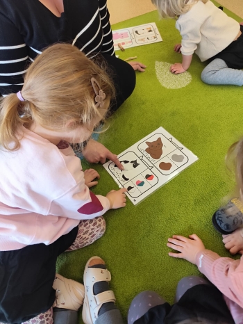 02-niedzwiadkiiwiewiorki (12)