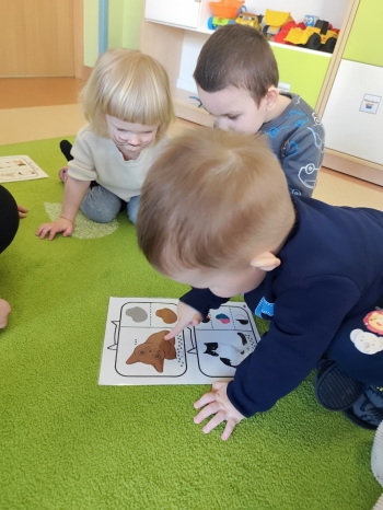 02-niedzwiadkiiwiewiorki (34)