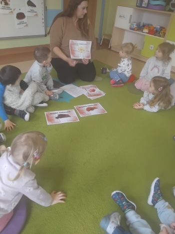 02 NIEDZWIADKI-WIEWIORKI (6)