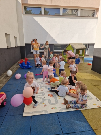02 motylki i biedronki
