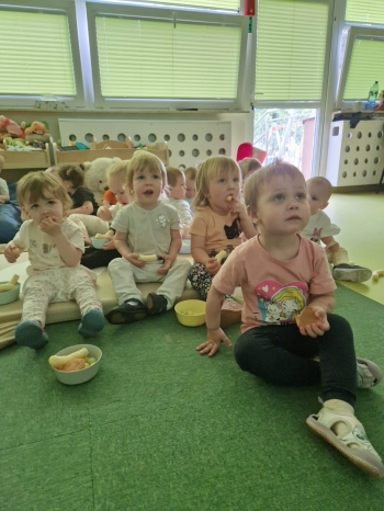 03 MOTYLKI I BIEDRONKI (3)