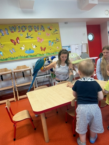 01 BIEDRONKI (6)