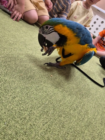 01 ZABKI (3)