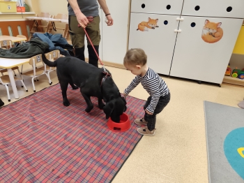 02 (20)
