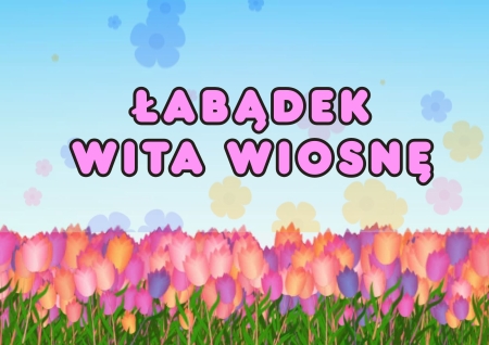 ŁABĄDEK WITA WIOSNĘ 